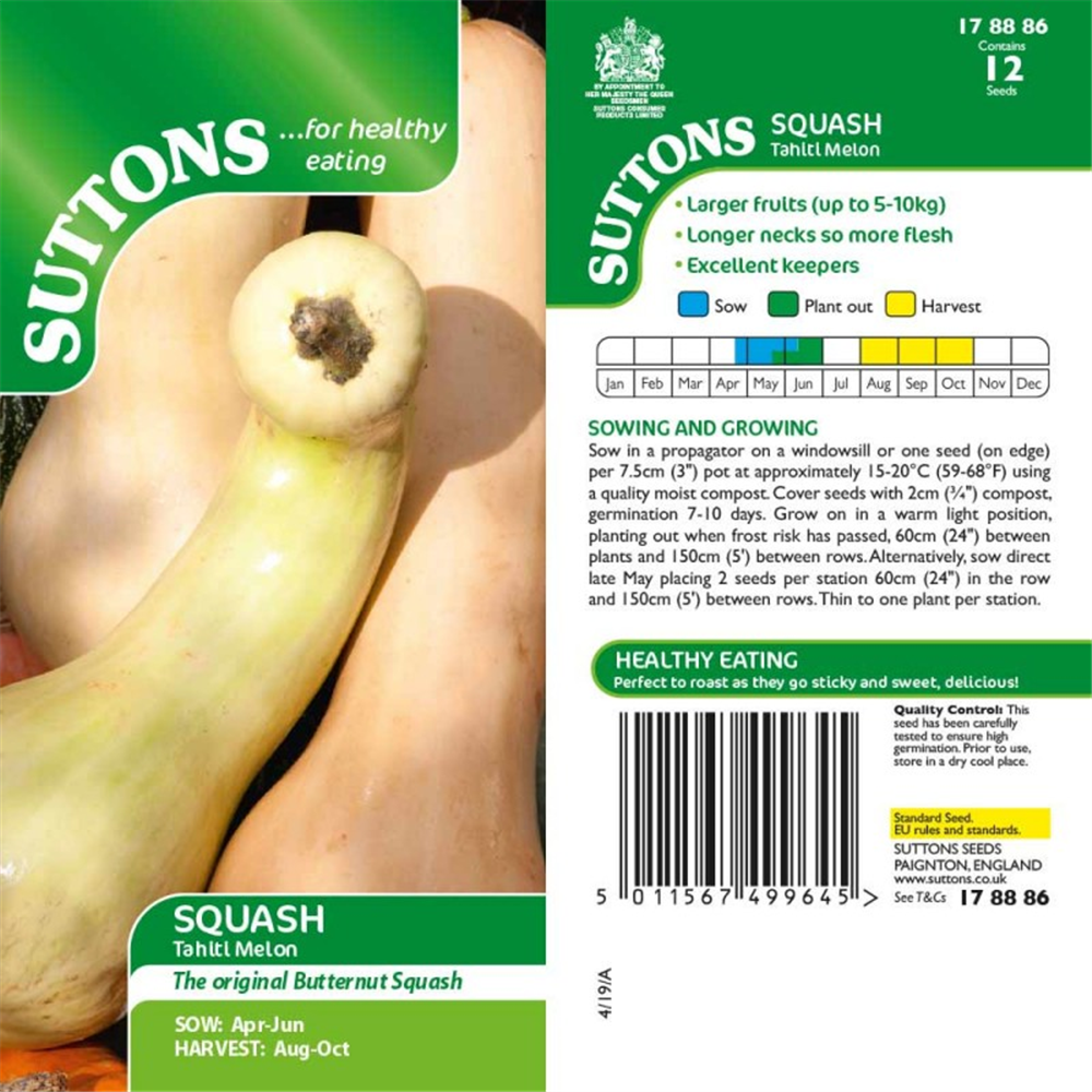 Squash Tahiti Melon Waterperry Gardens Oxfordshire Garden Centre